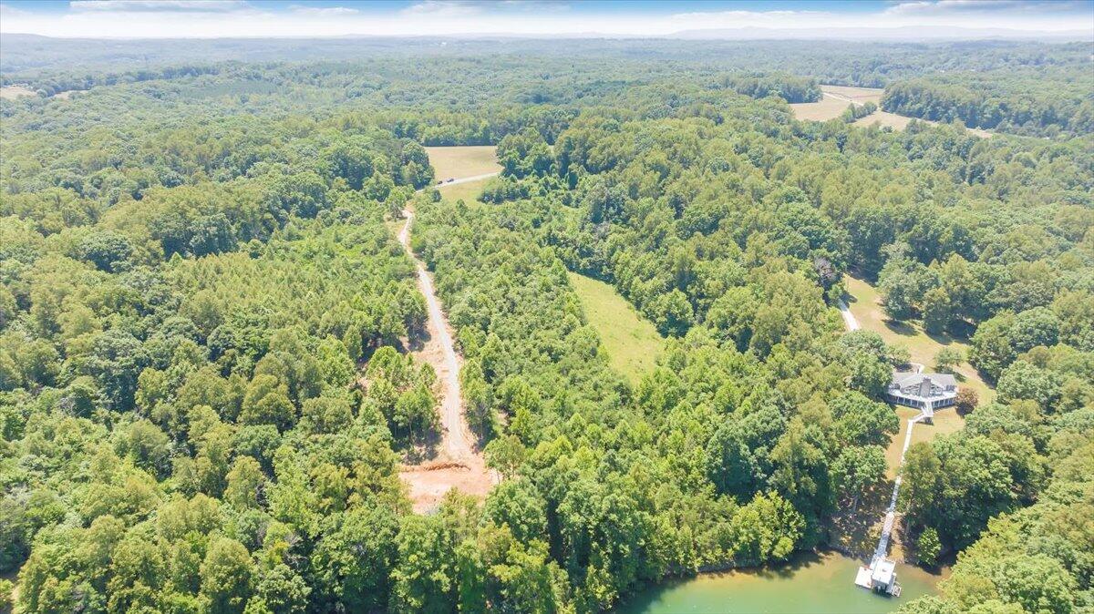 Lot 1 Piney Point Road Union Hall, VA 24176 - Photo 13 of 30 a view of a city with lush green forest