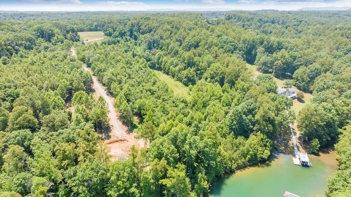 Lot 1 Piney Point Road Union Hall, VA 24176 - Photo 17 of 30 a view of a forest with a street
