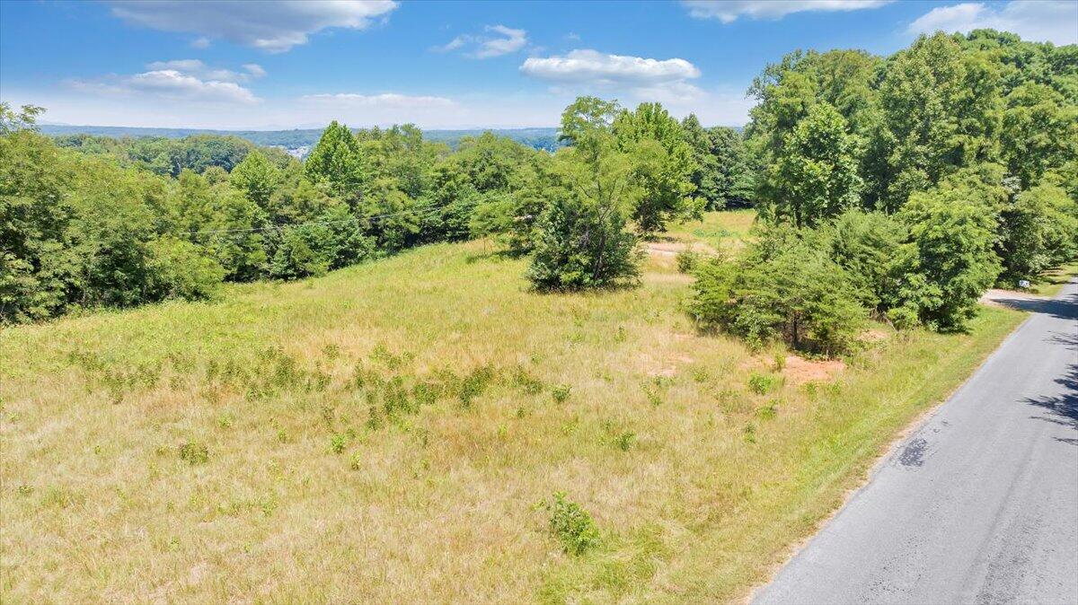 Lot 1 Piney Point Road Union Hall, VA 24176 - Photo 28 of 30 a view of a garden