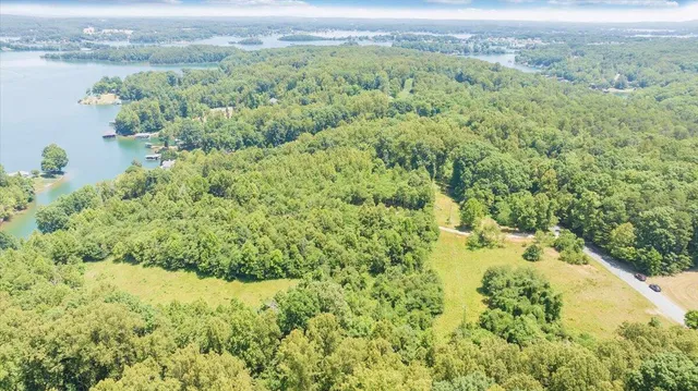 a view of a lush green field with a mountain in the background