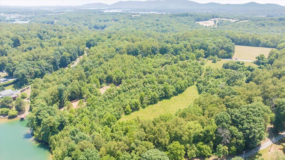 Lot 1 Piney Point Road Union Hall, VA 24176 - Photo 9 of 30 a view of a lush green field with a mountain in the background