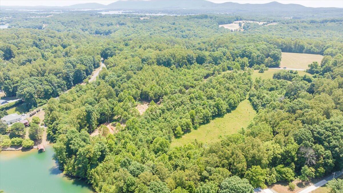 Lot 1 Piney Point Road Union Hall, VA 24176 - Photo 10 of 30 a view of a forest with a lake