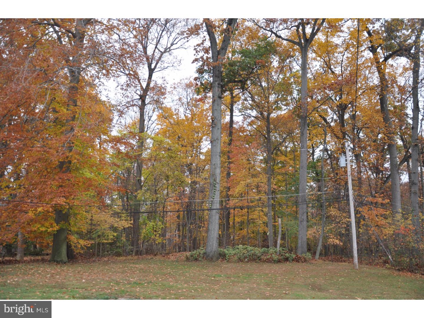112 Marple Road Haverford, PA 19041 - Photo 22 of 23