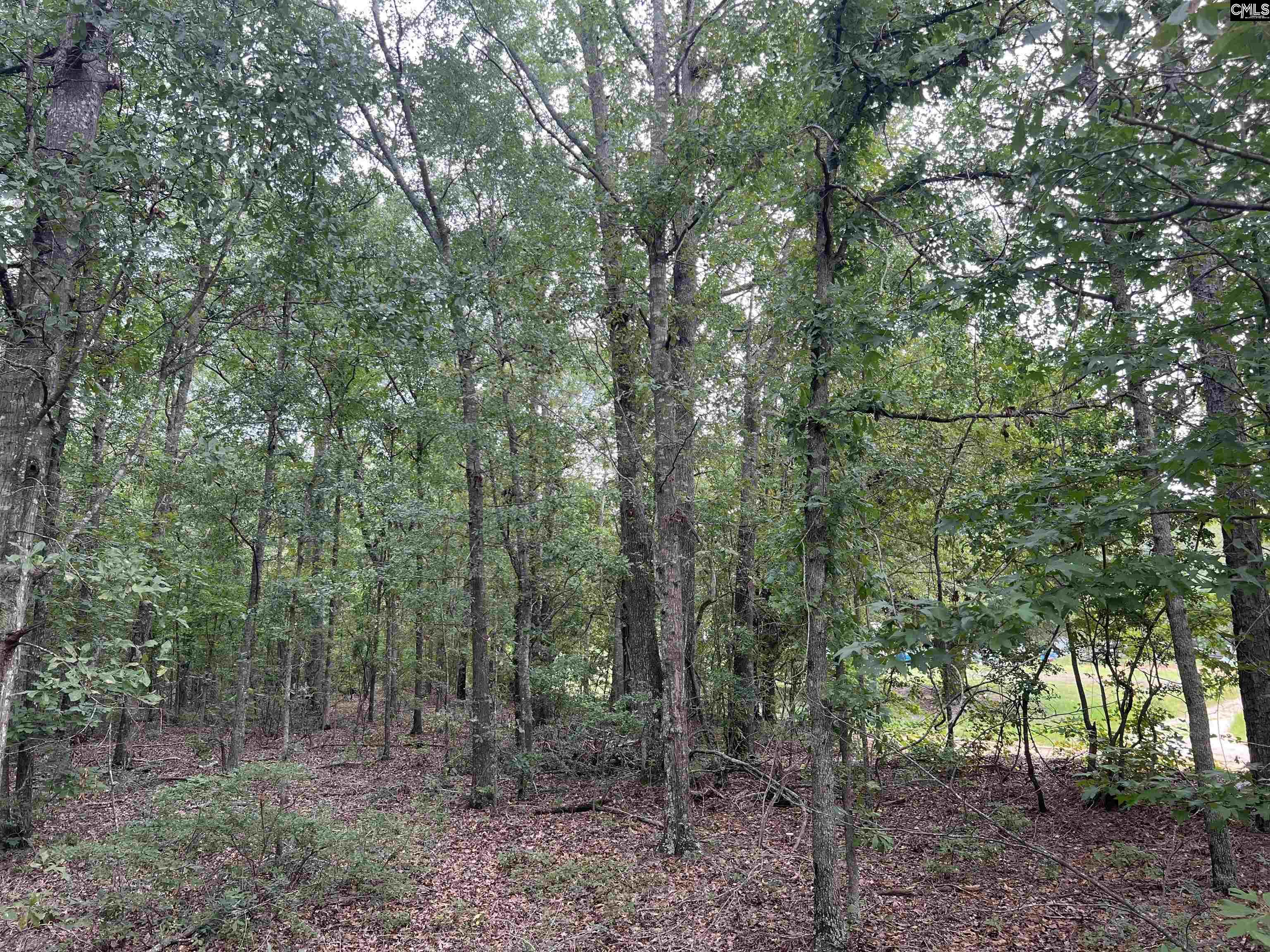 0 Cliff Road Pelion, SC 29123 - Photo 21 of 28