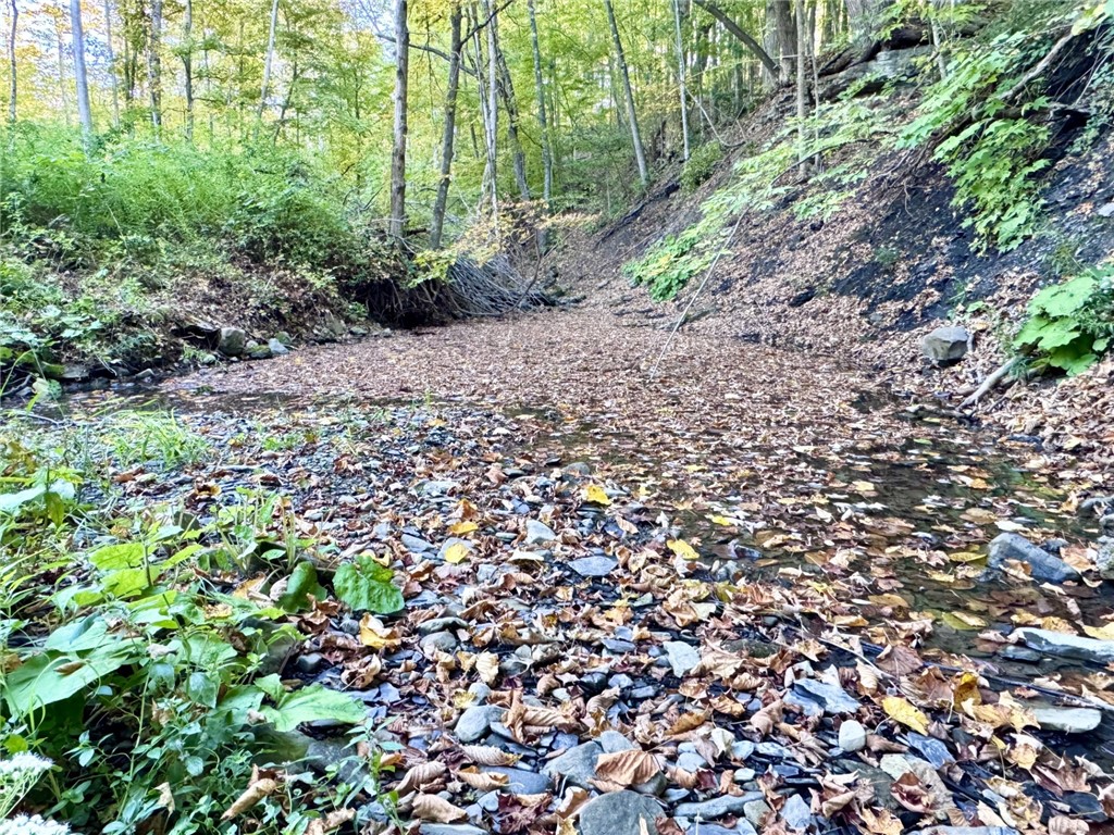 698 Mineral Springs Road Cobleskill, NY 12043 - Photo 44 of 49