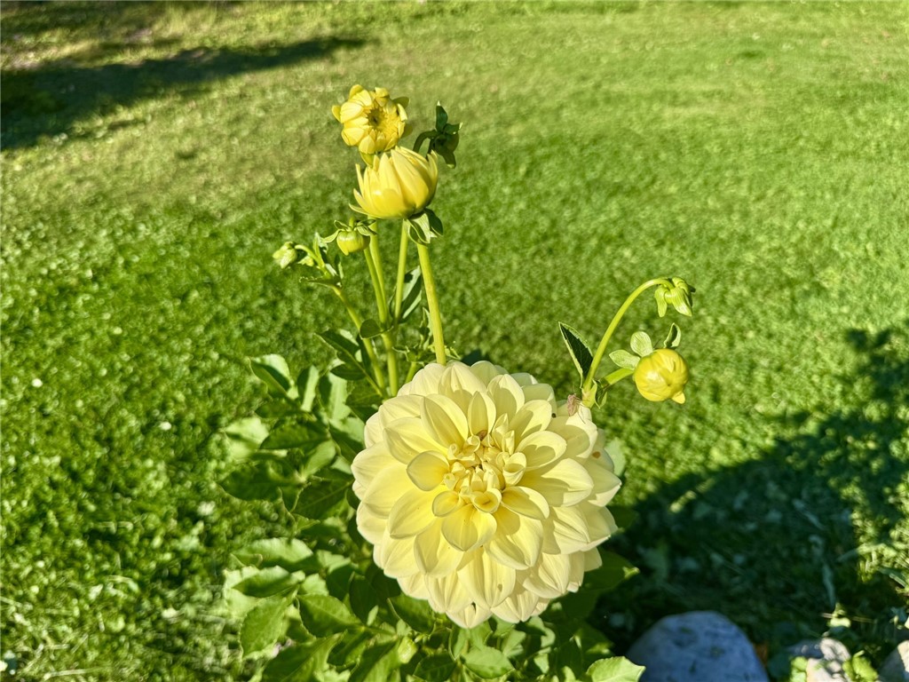 698 Mineral Springs Road Cobleskill, NY 12043 - Photo 45 of 49