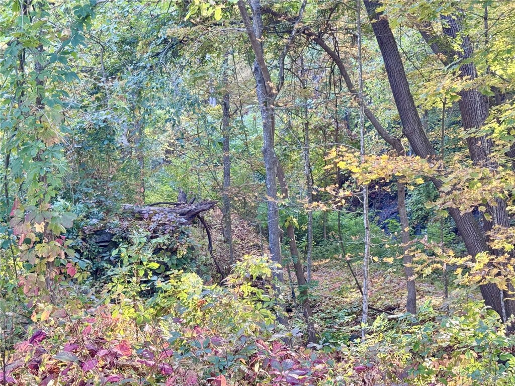 698 Mineral Springs Road Cobleskill, NY 12043 - Photo 46 of 49