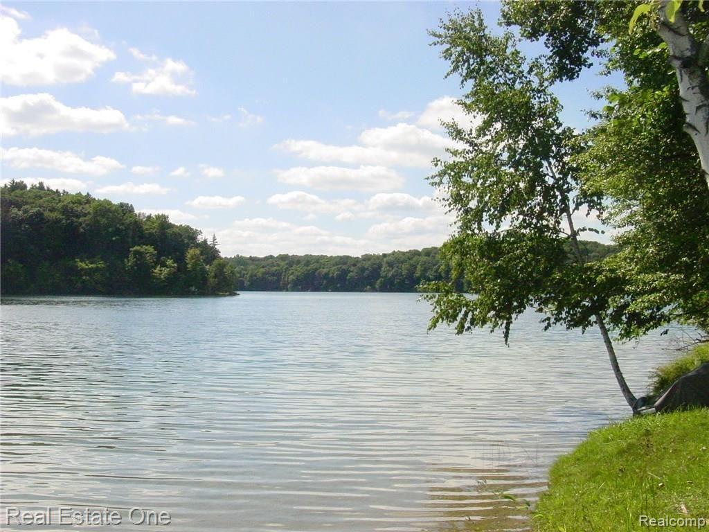 L5 Addaleen Road Highland, MI 48357 - Photo 2 of 15