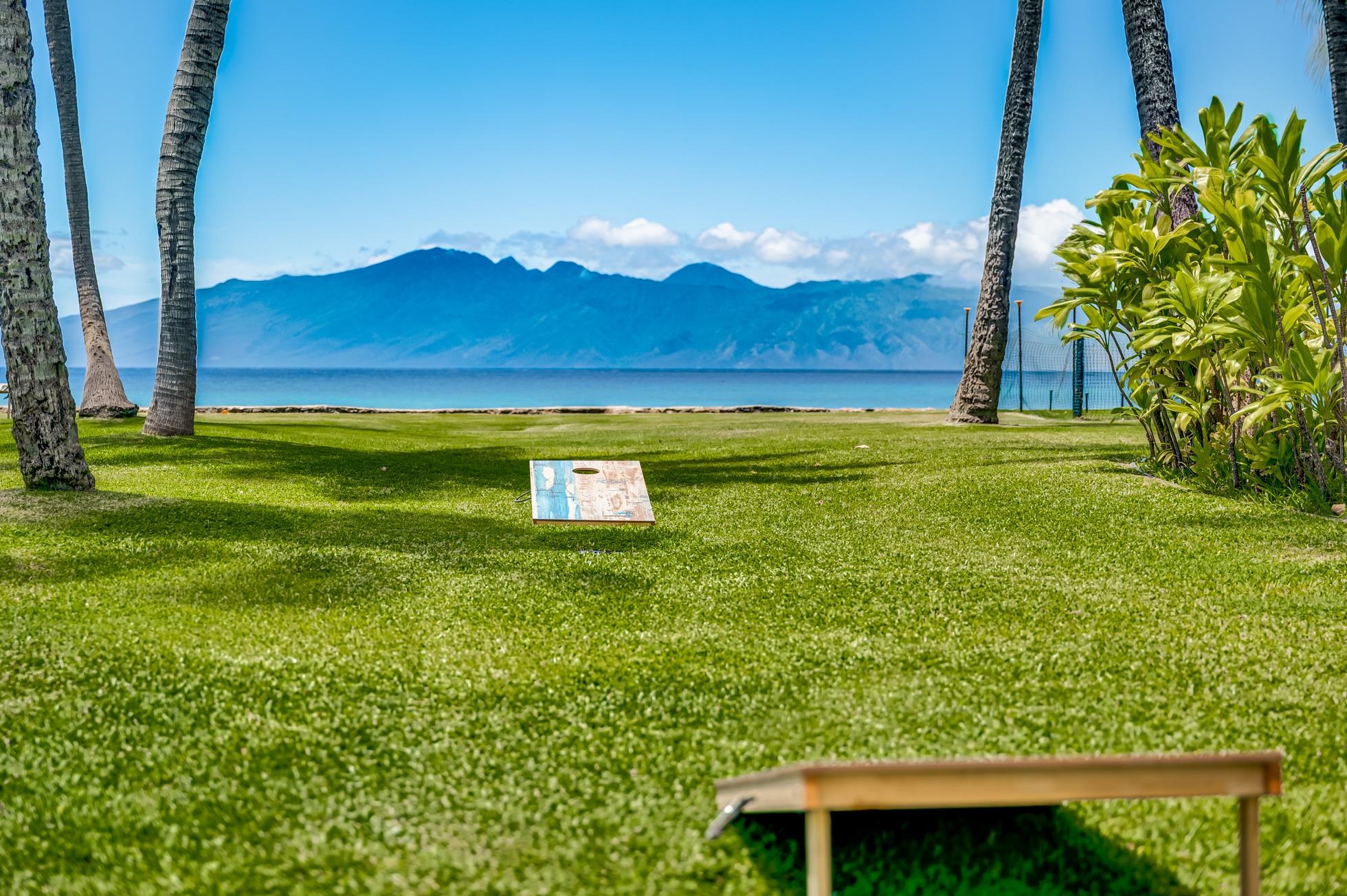 3543 Lower Honoapiilani Road, Unit D309 Lahaina, HI 96761 - Photo 26 of 34 Gallery Image 26