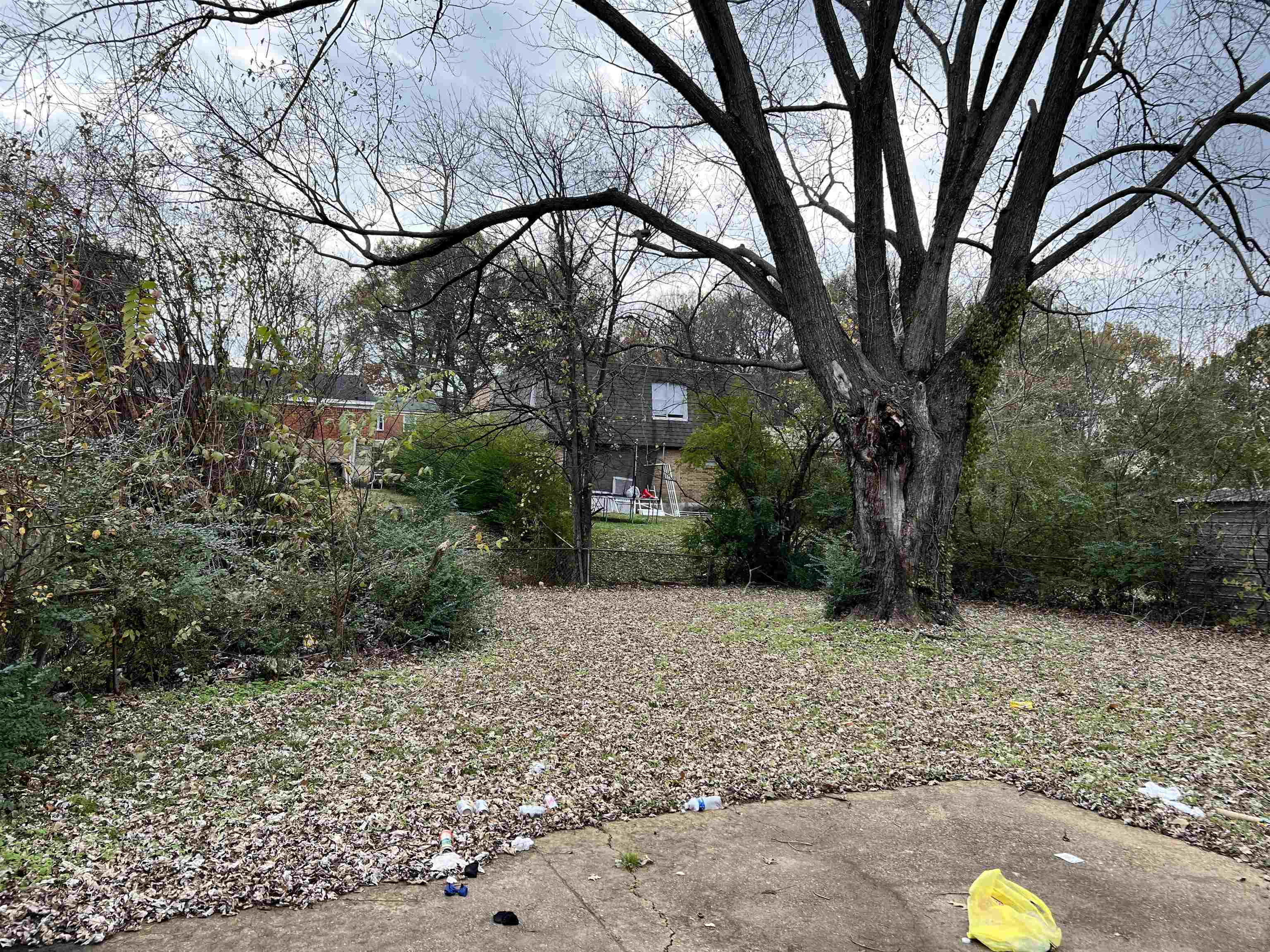 1493 East Alcy Road Memphis, TN 38106 - Photo 2 of 2 a backyard of a house with lots of green space