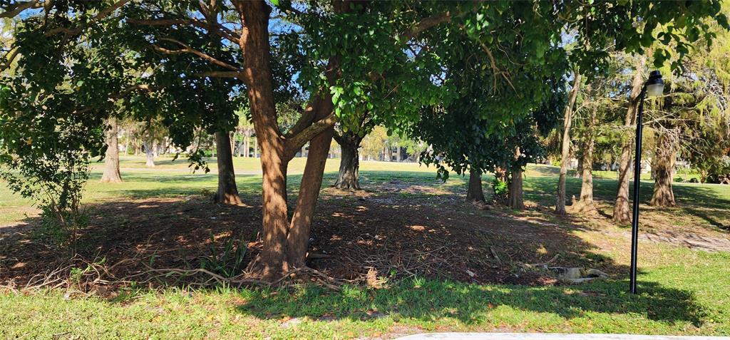 4168 Inverrary Drive, Unit 401 Lauderhill, FL 33319 - Photo 22 of 22 a view of backyard with green space
