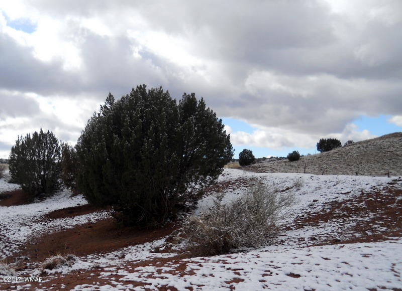 9506 Butler Road Snowflake, AZ 85937 - Photo 13 of 38