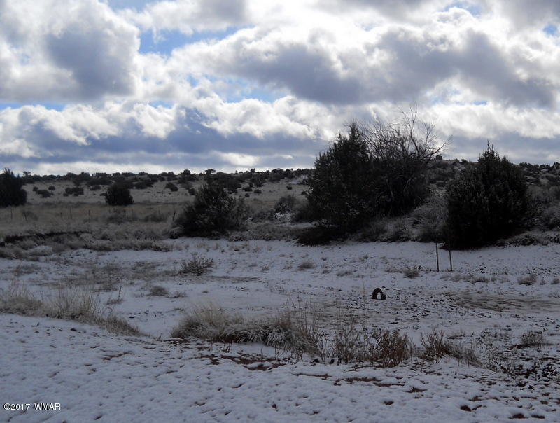 9506 Butler Road Snowflake, AZ 85937 - Photo 14 of 38