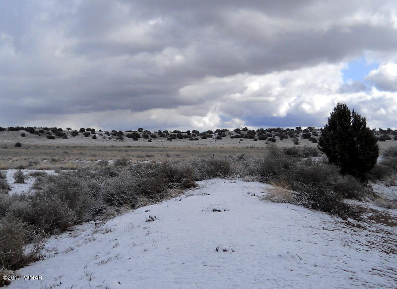 9506 Butler Road Snowflake, AZ 85937 - Photo 15 of 38