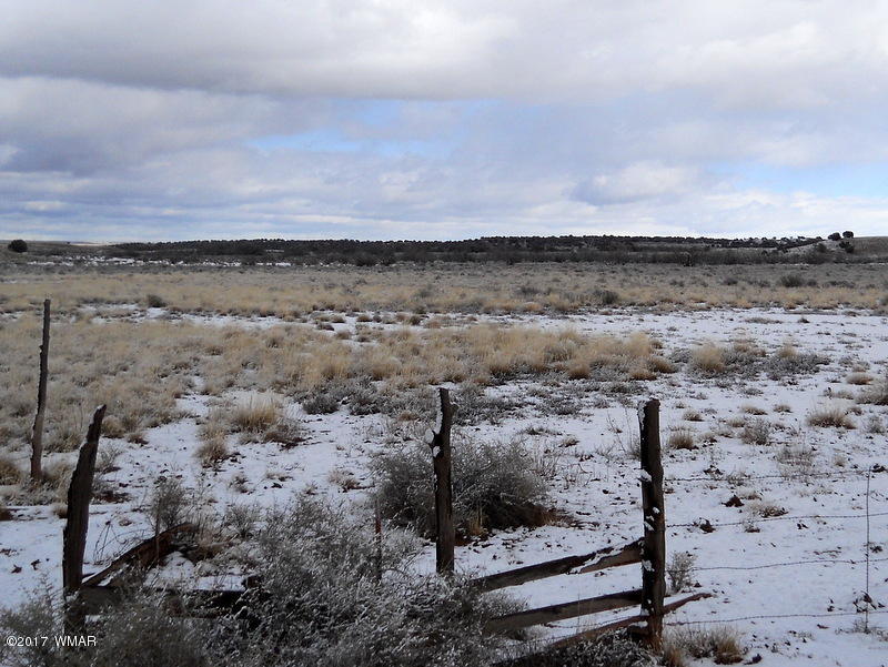 9506 Butler Road Snowflake, AZ 85937 - Photo 16 of 38