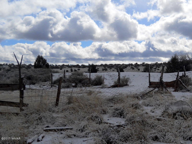 9506 Butler Road Snowflake, AZ 85937 - Photo 20 of 38