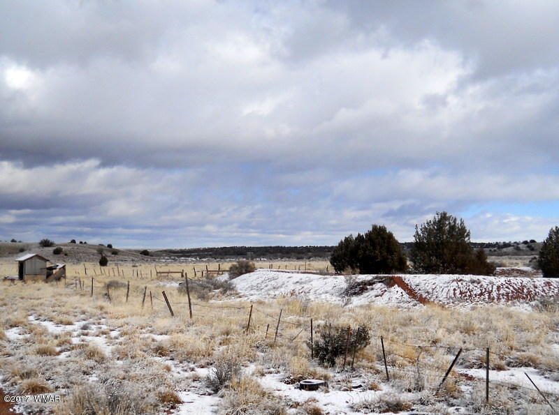 9506 Butler Road Snowflake, AZ 85937 - Photo 24 of 38