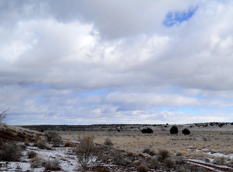 9506 Butler Road Snowflake, AZ 85937 - Photo 30 of 38
