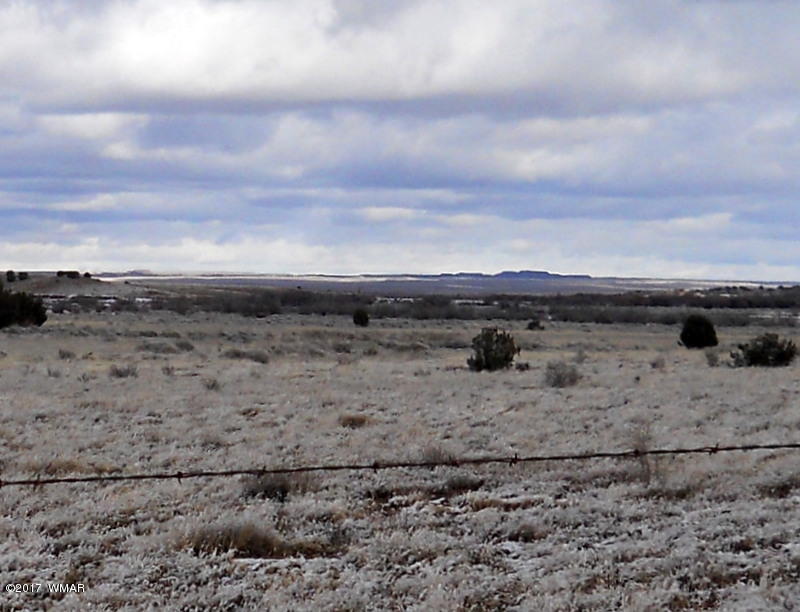 9506 Butler Road Snowflake, AZ 85937 - Photo 4 of 38