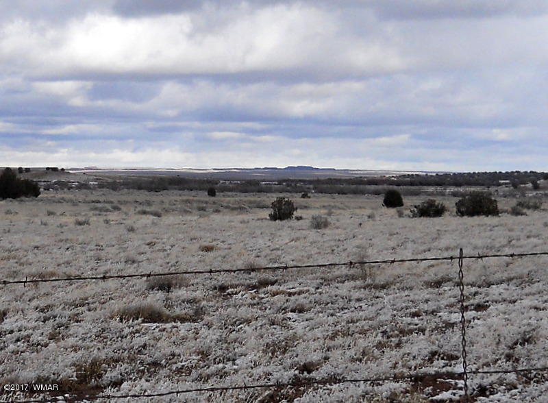9506 Butler Road Snowflake, AZ 85937 - Photo 5 of 38