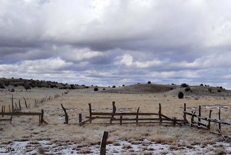 9506 Butler Road Snowflake, AZ 85937 - Photo 8 of 38