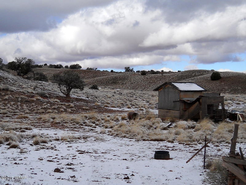 9506 Butler Road Snowflake, AZ 85937 - Photo 10 of 38