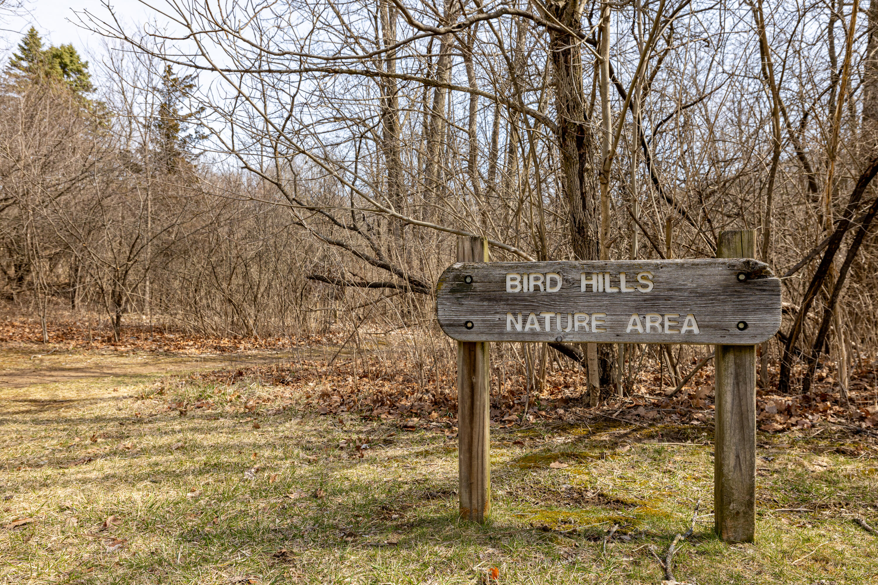 2254 Rivenoak Court, Unit 61 Ann Arbor, MI 48103 - Photo 60 of 62 2254 Rivenoak Ct (53 of 55)