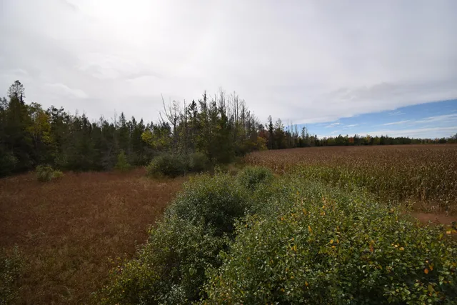 $154,900 | 8 Old Highway 8, Laona, WI 54541