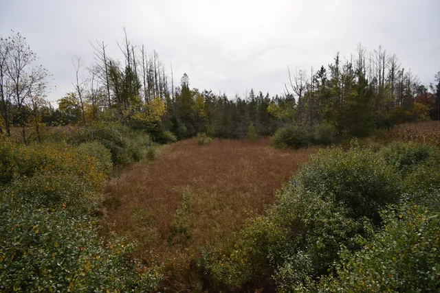 $154,900 | 8 Old Highway 8, Laona, WI 54541