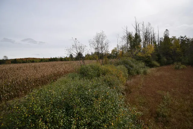 $154,900 | 8 Old Highway 8, Laona, WI 54541