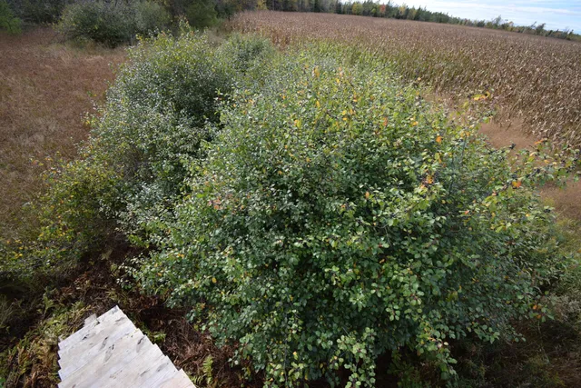 $154,900 | 8 Old Highway 8, Laona, WI 54541