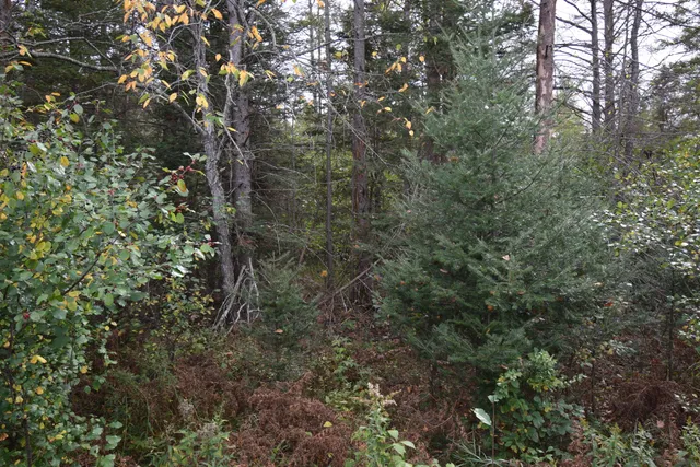 $154,900 | 8 Old Highway 8, Laona, WI 54541