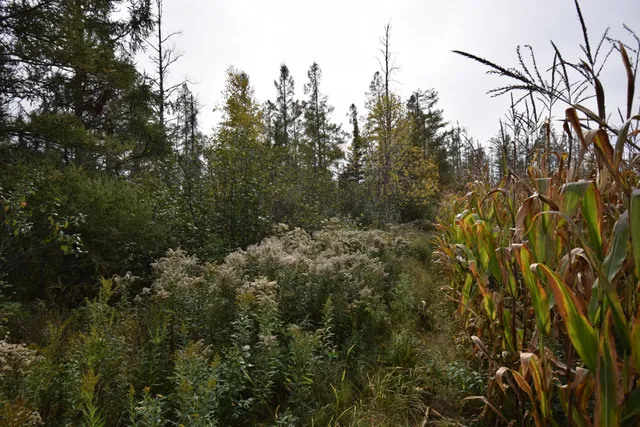 $154,900 | 8 Old Highway 8, Laona, WI 54541