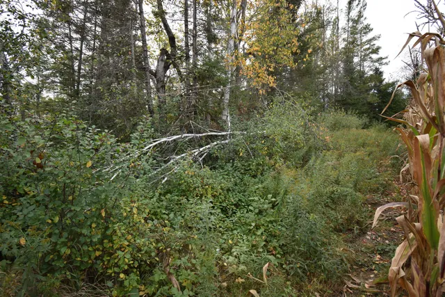 $154,900 | 8 Old Highway 8, Laona, WI 54541