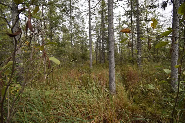 $154,900 | 8 Old Highway 8, Laona, WI 54541