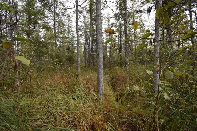 $154,900 | 8 Old Highway 8, Laona, WI 54541