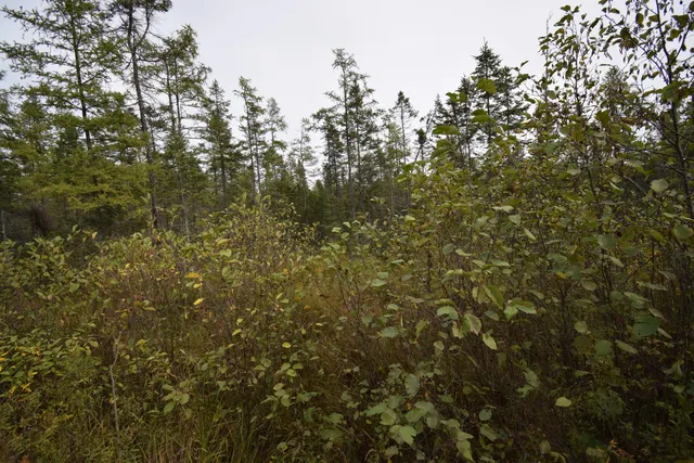 $154,900 | 8 Old Highway 8, Laona, WI 54541