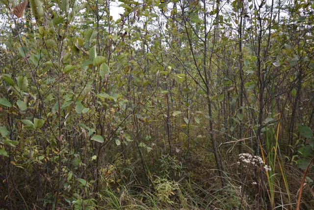 $154,900 | 8 Old Highway 8, Laona, WI 54541