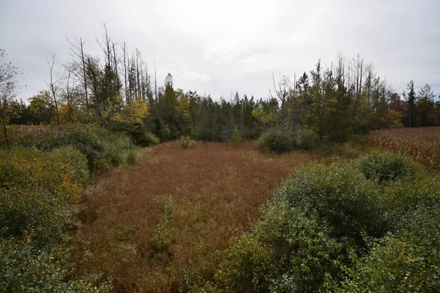 $154,900 | 8 Old Highway 8, Laona, WI 54541