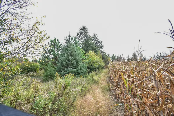 $134,900 | 8 Old Highway 8, Laona, WI 54541