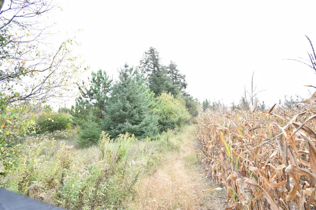 $154,900 | 8 Old Highway 8, Laona, WI 54541