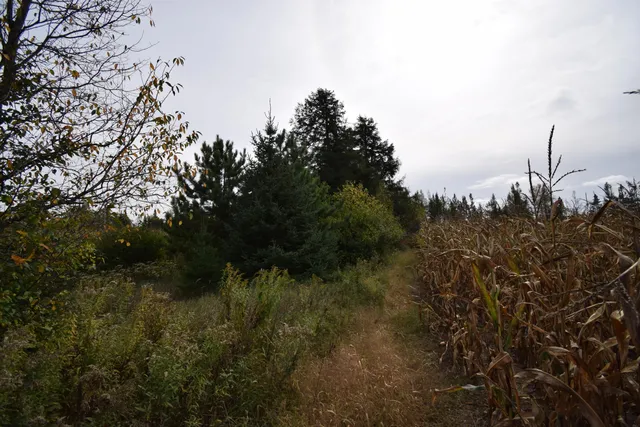 $154,900 | 8 Old Highway 8, Laona, WI 54541