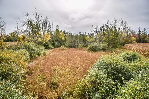 $134,900 | 8 Old Highway 8, Laona, WI 54541