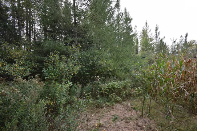 $154,900 | 8 Old Highway 8, Laona, WI 54541