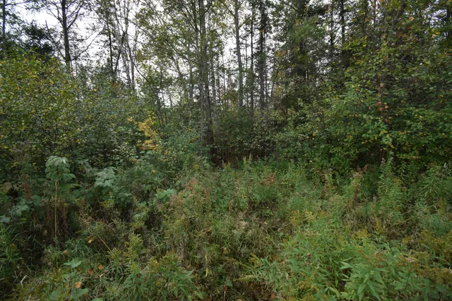 $154,900 | 8 Old Highway 8, Laona, WI 54541