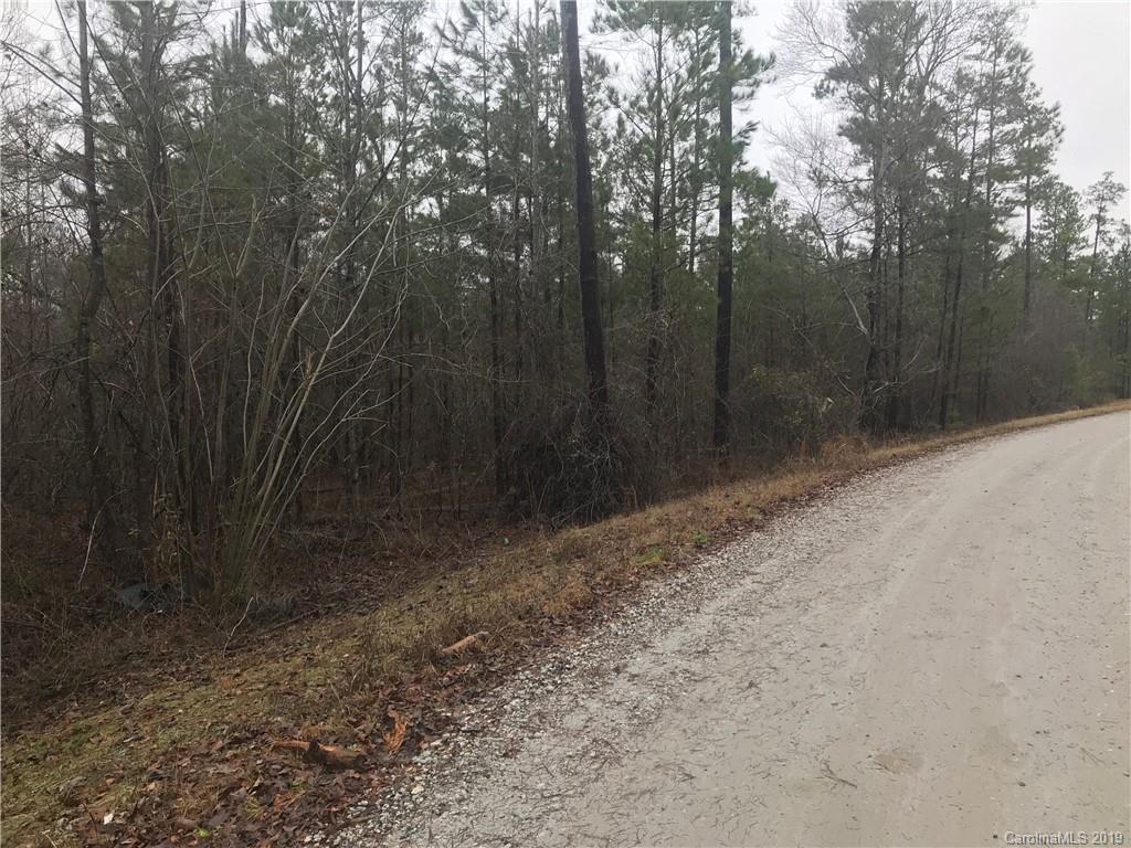 Tract B Currence Road Clover, SC 29710 - Photo 1 of 1