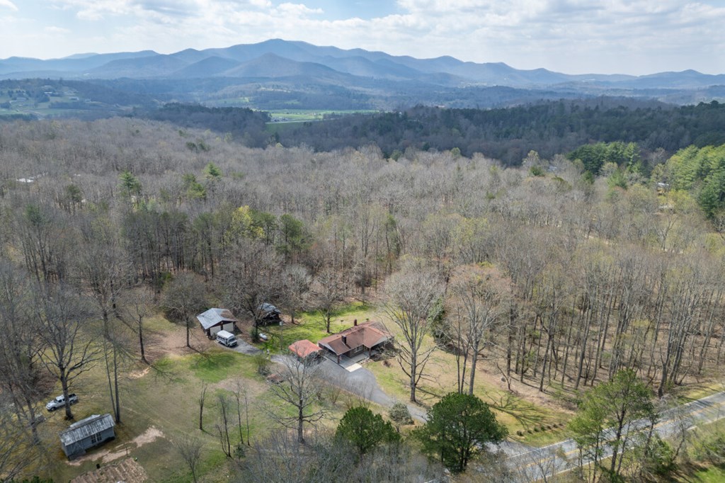 1266 Ford Road Warne, NC 28909 - Photo 53 of 62