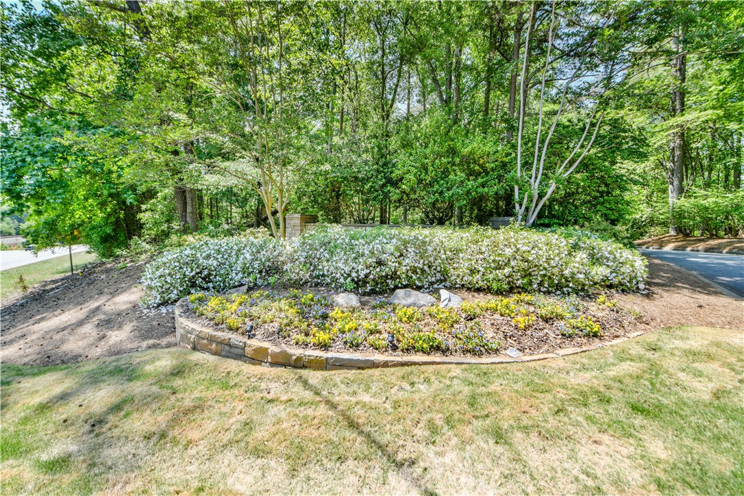 806 Bright Leaf Court Seneca, SC 29672 - Photo 29 of 32
