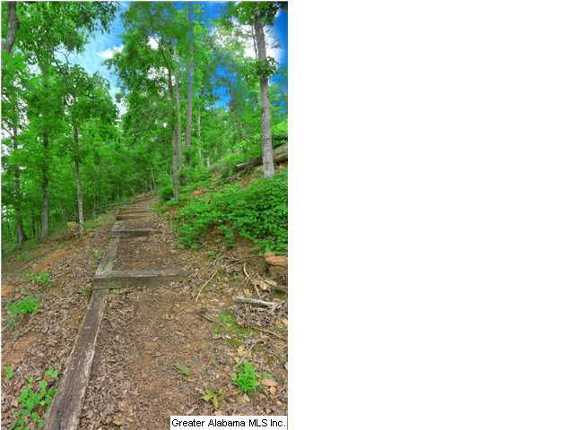 131 Lake Ridge Lane Wedowee, AL 36278 - Photo 23 of 25