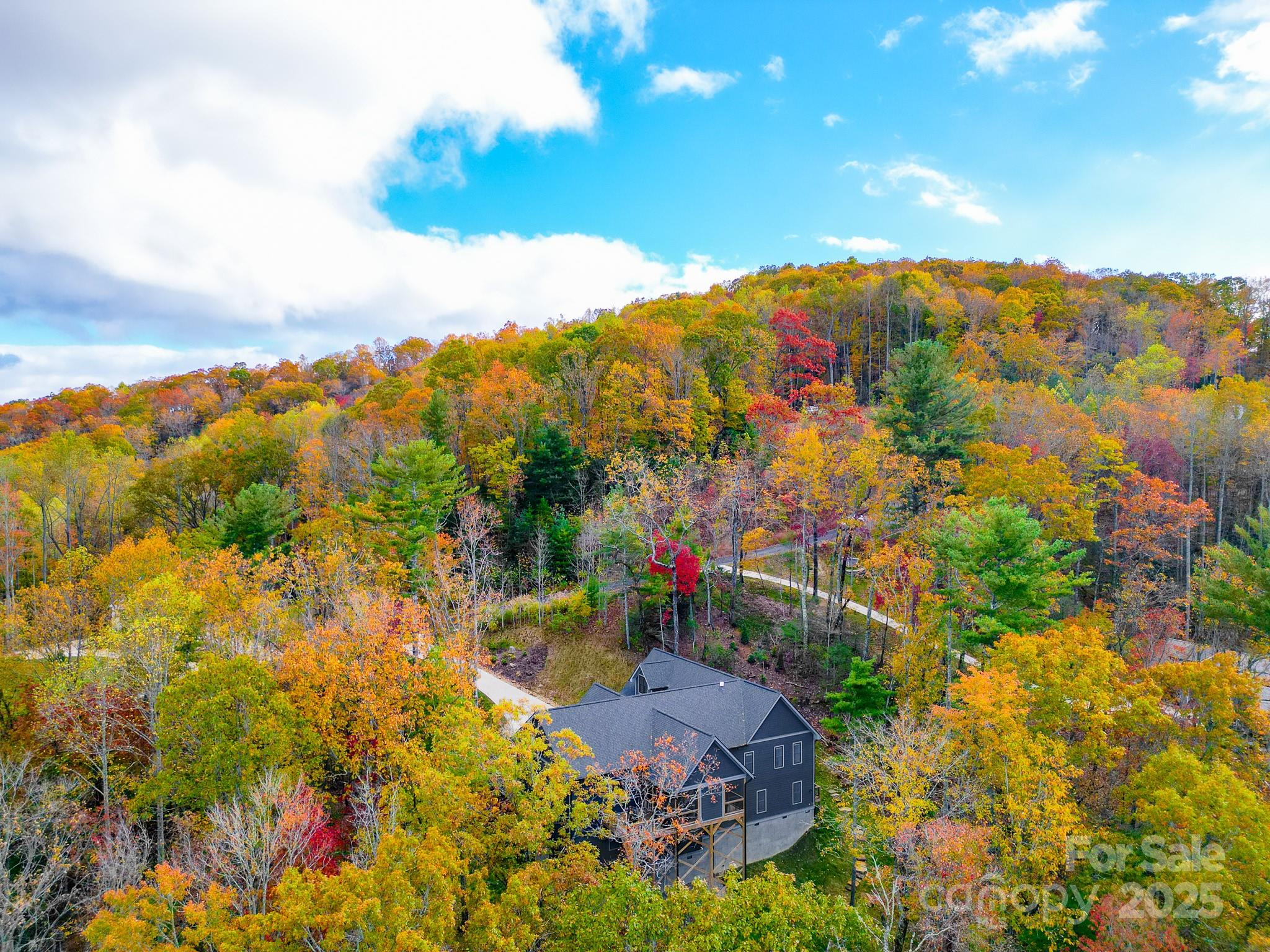 250 Judson Ridge Road Arden, NC 28704 - Photo 19 of 47 an aerial view of residential houses with outdoor space and trees